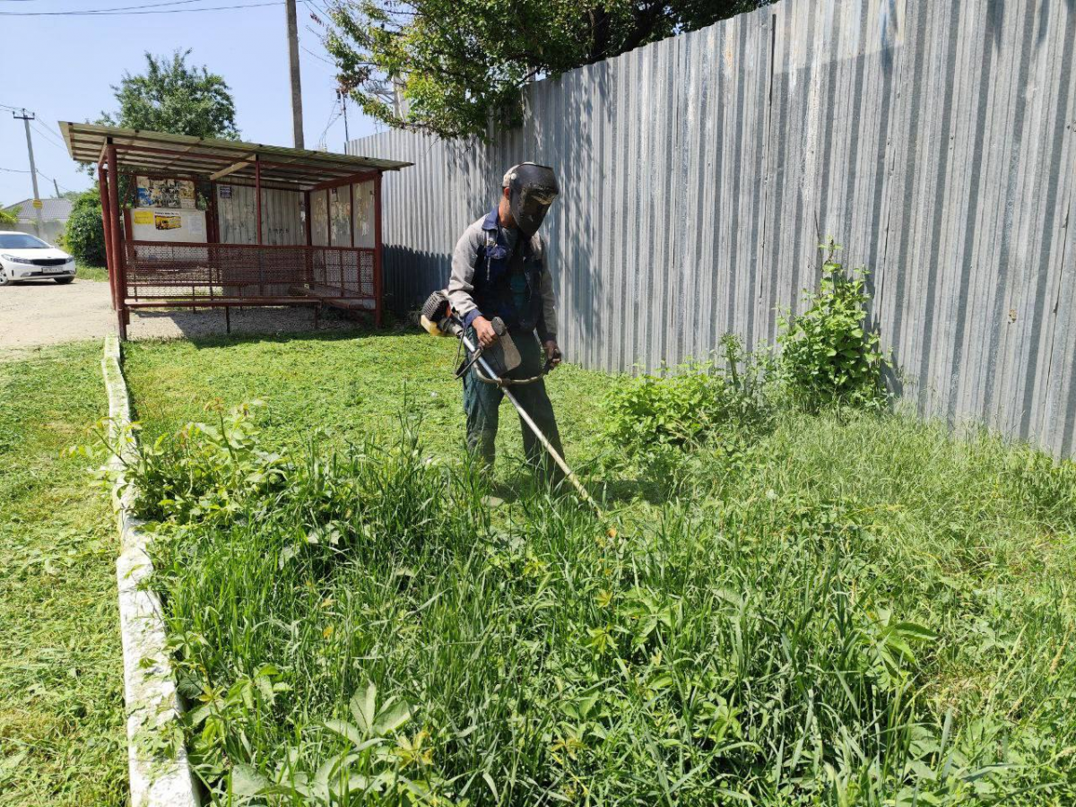 Власти Краснодара усилили контроль за участками с сорной растительностью