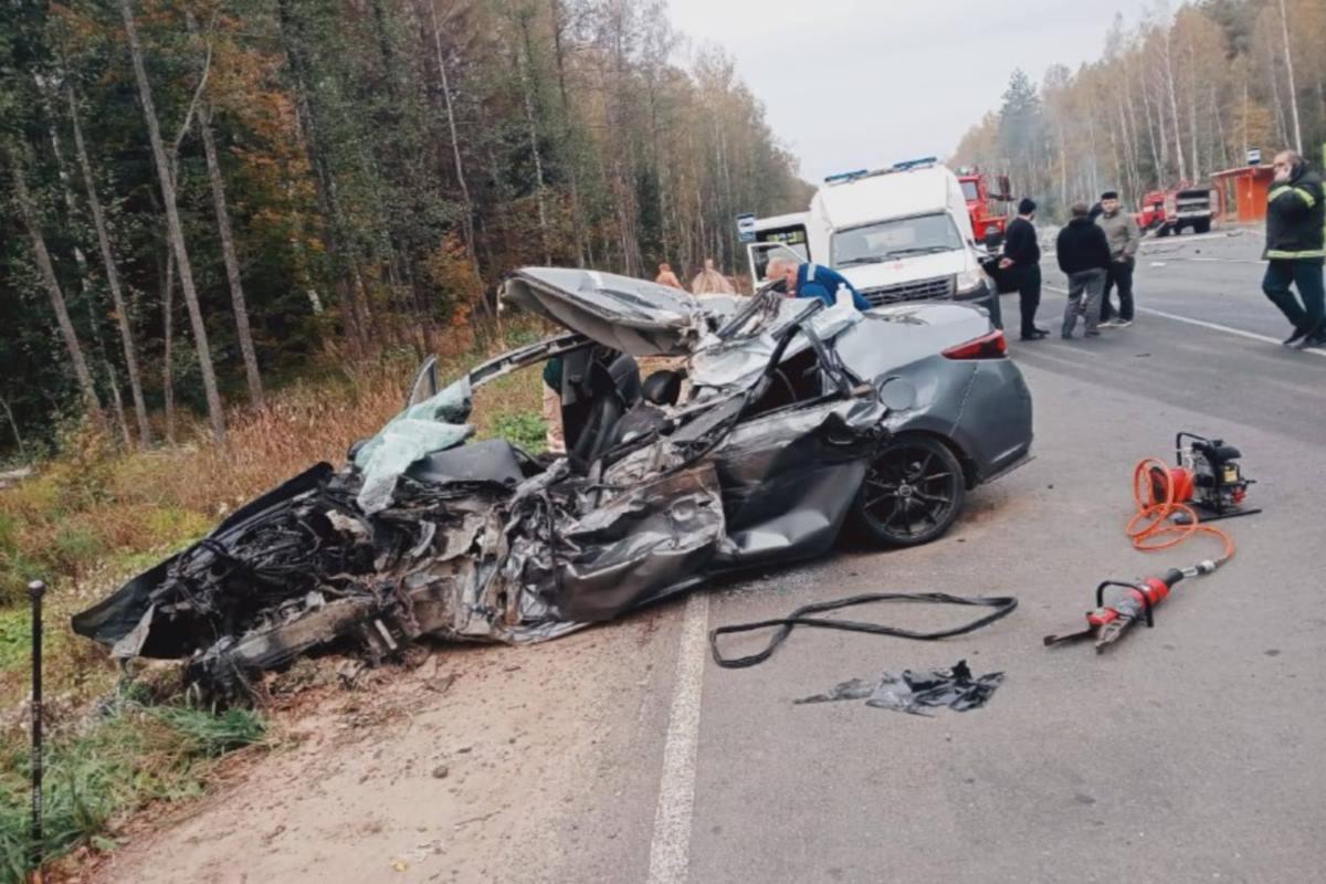 СУ СКР по Владимирской области устанавливает причины ДТП, унесшего пять жизней