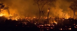 Забайкалье в 2022 году получит 1 млрд рублей на тушение лесных пожаров