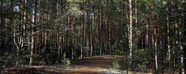 В Нижнем Новгороде создадут первый национальный парк