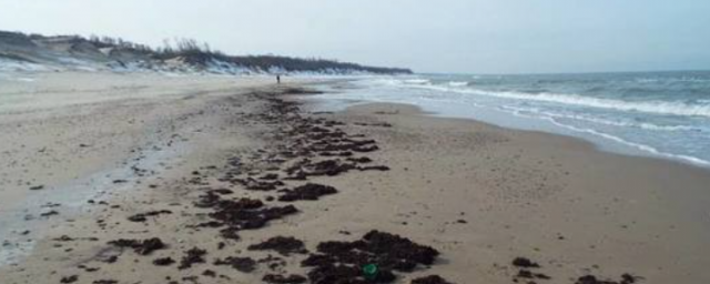 В Светлогорске опасный склон рядом с санаторием «Янтарный берег» укрепят за 14 млн рублей