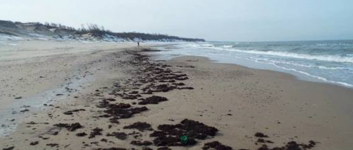 В Светлогорске опасный склон рядом с санаторием «Янтарный берег» укрепят за 14 млн рублей