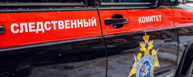 В Новосибирске в канализации на Невельского обнаружили останки человека
