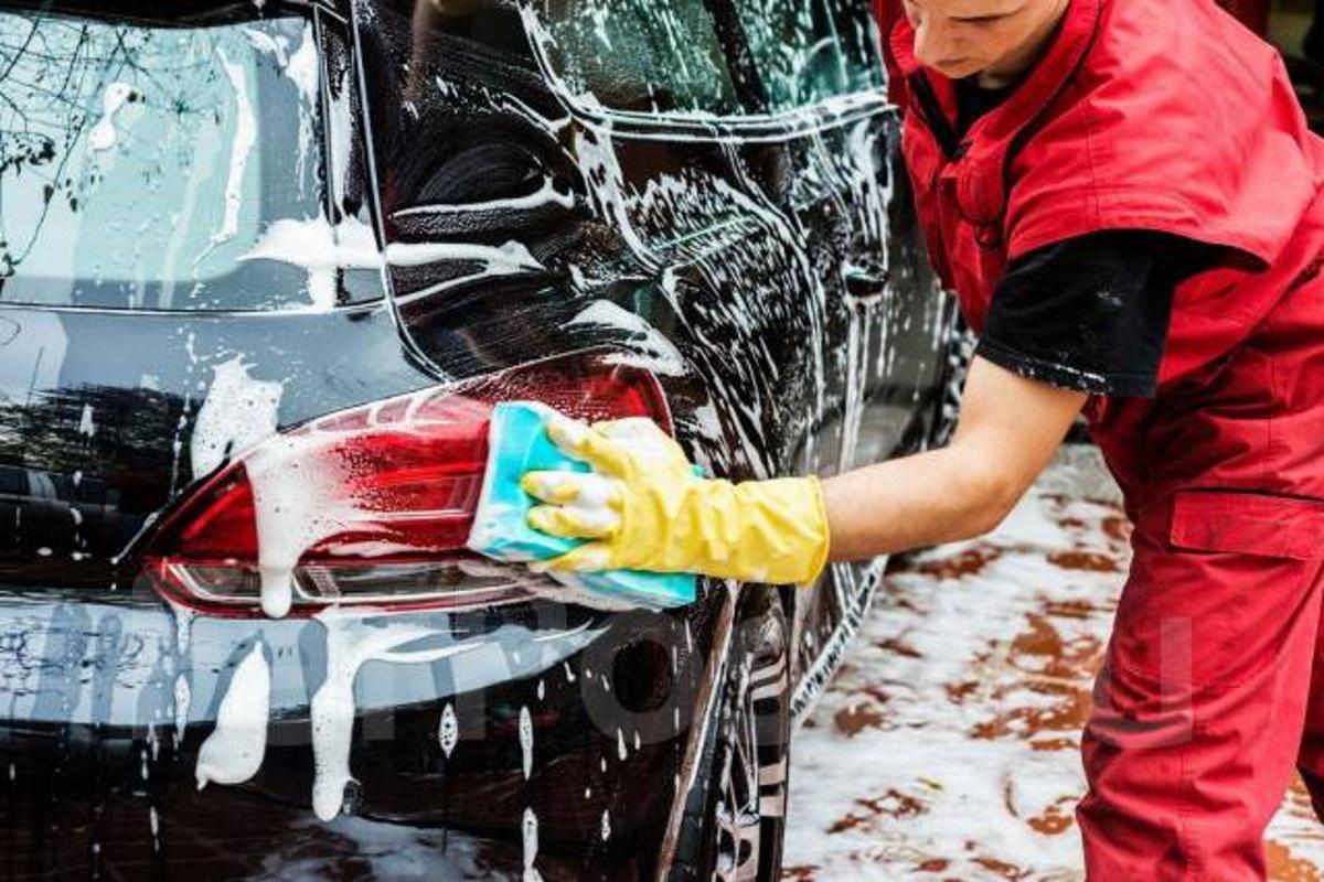 Работодатели Новосибирской области проявляют заинтересованность в сотрудниках подросткового возраста