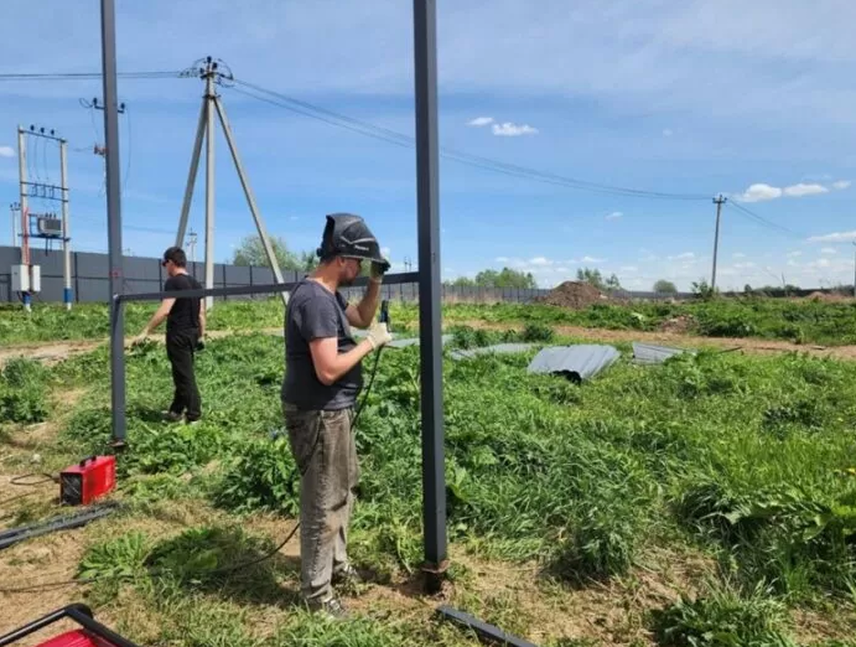 В Красноармейске Городского округа Пушкинский будут перерабатывать северную ягоду и выращивать зелень