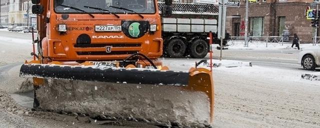 Депутат Пирогова требует отчет об нецелевом использовании снегоуборочной техники на митинге