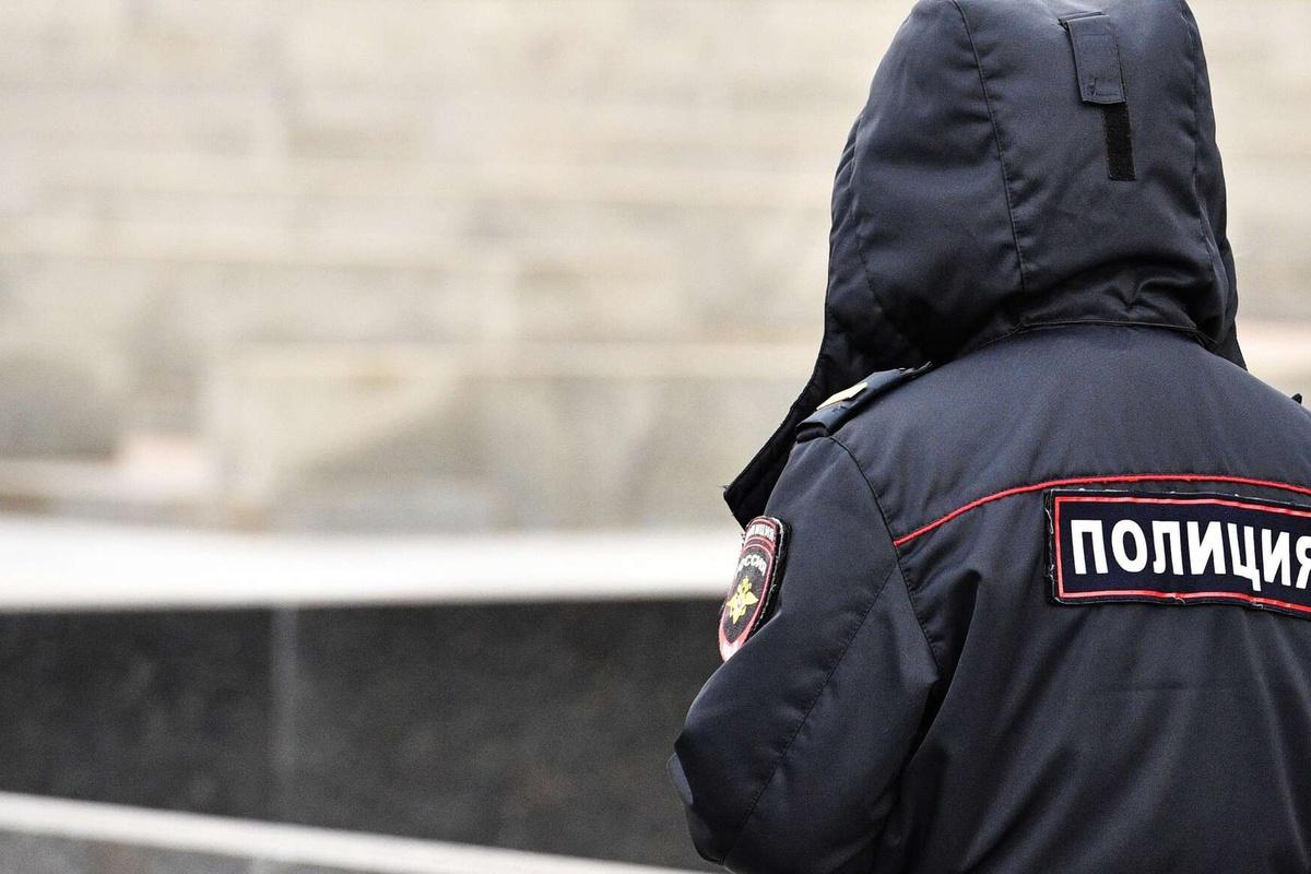 В понедельник сотрудники МЧС достали из Большой Невы частично сгнивший труп