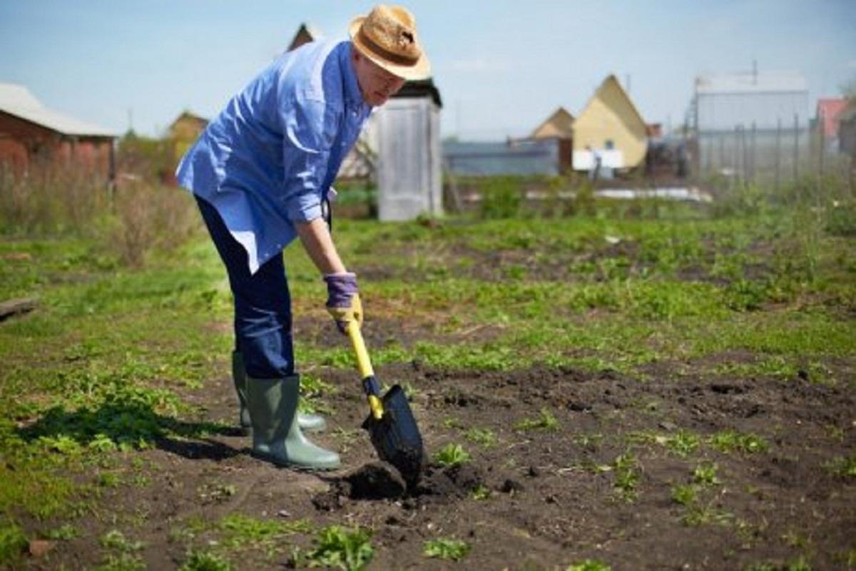 Биолог Лялина рекомендовала людям с диабетом воздержаться от работы в огороде