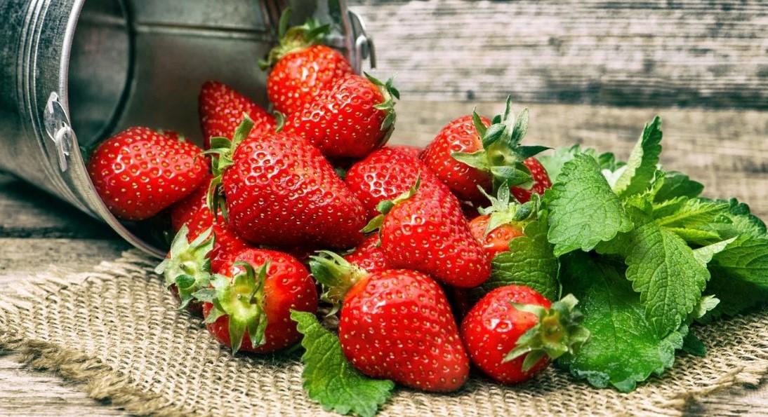 Гастроэнтеролог Селиверстова: В ранних ягодах содержится высокий уровень нитратов