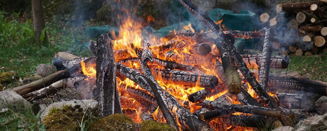 Юрист рассказал, за что дачникам могут выписать штраф