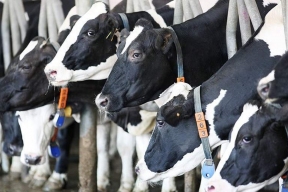 Калужская область удерживает лидирующие позиции в сельском хозяйстве страны