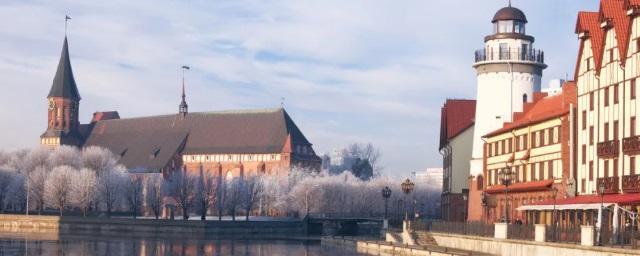 В Калининграде в новогоднюю ночь будет слякоть и дождь