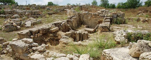 На Алтае обнаружили некрополь эпохи Великого переселения народов