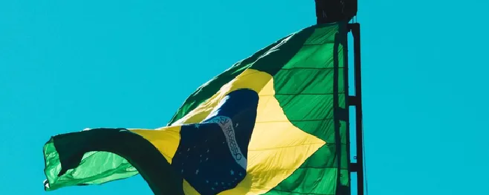Бразилия оказалась главным противником расширения альянса БРИКС