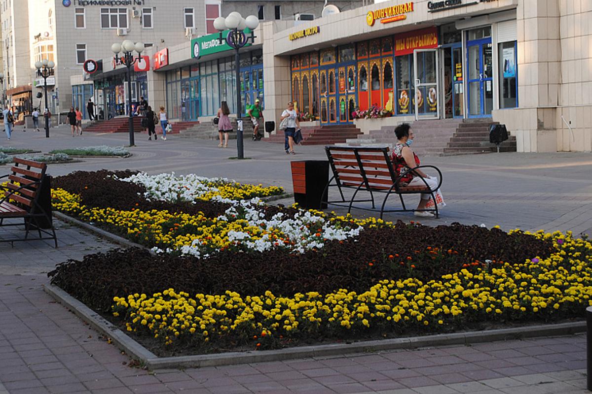 Из бюджета Белгорода на цветочное оформление города выделят 150 млн рублей