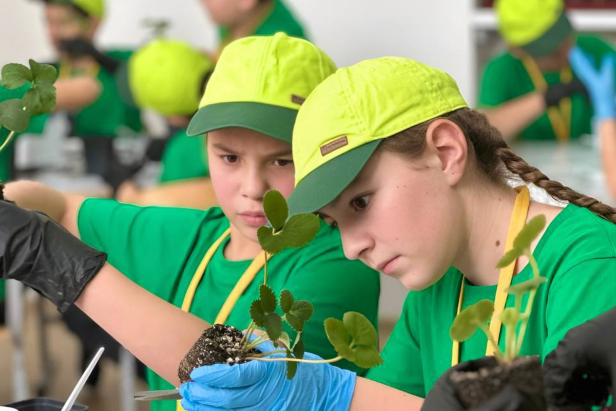 В Карачаево-Черкесии нашли способ привлечь молодежь в сельское хозяйство