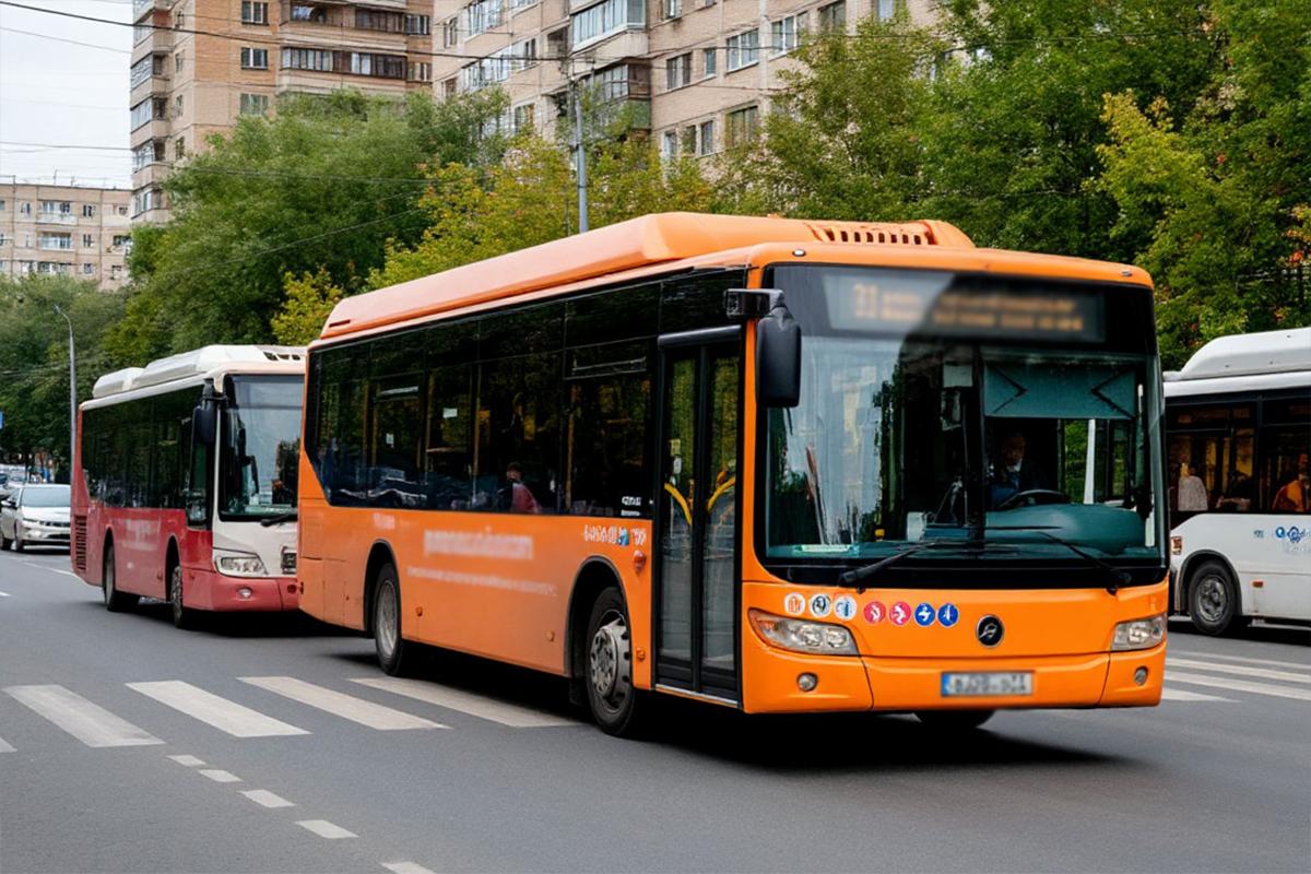 Схему движения изменят некоторые автобусы в Биробиджане с 17 по 31 июля