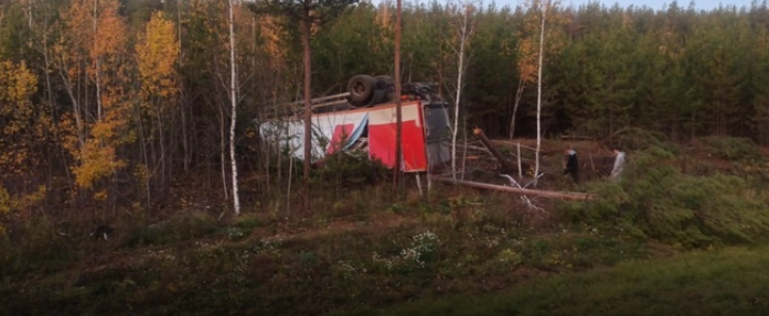 На М5 в Челябинской области лось спровоцировал массовое ДТП