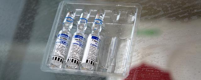 Гинцбург: Создание вакцины от COVID-19, действующей пять-десять лет, возможно
