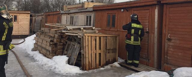 В Москве из-за пожара из приюта спасли 25 собак и 60 кошек