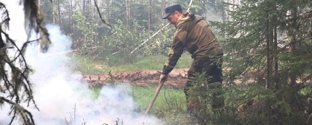 Минприроды Коми: дым от лесных пожаров в Югре может дойти до севера республики