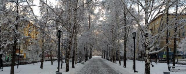 К середине грядущей недели в Новосибирскую область придет похолодание