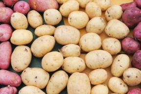 В Камчатском крае планируют сохранить стабильные цены на местный урожай