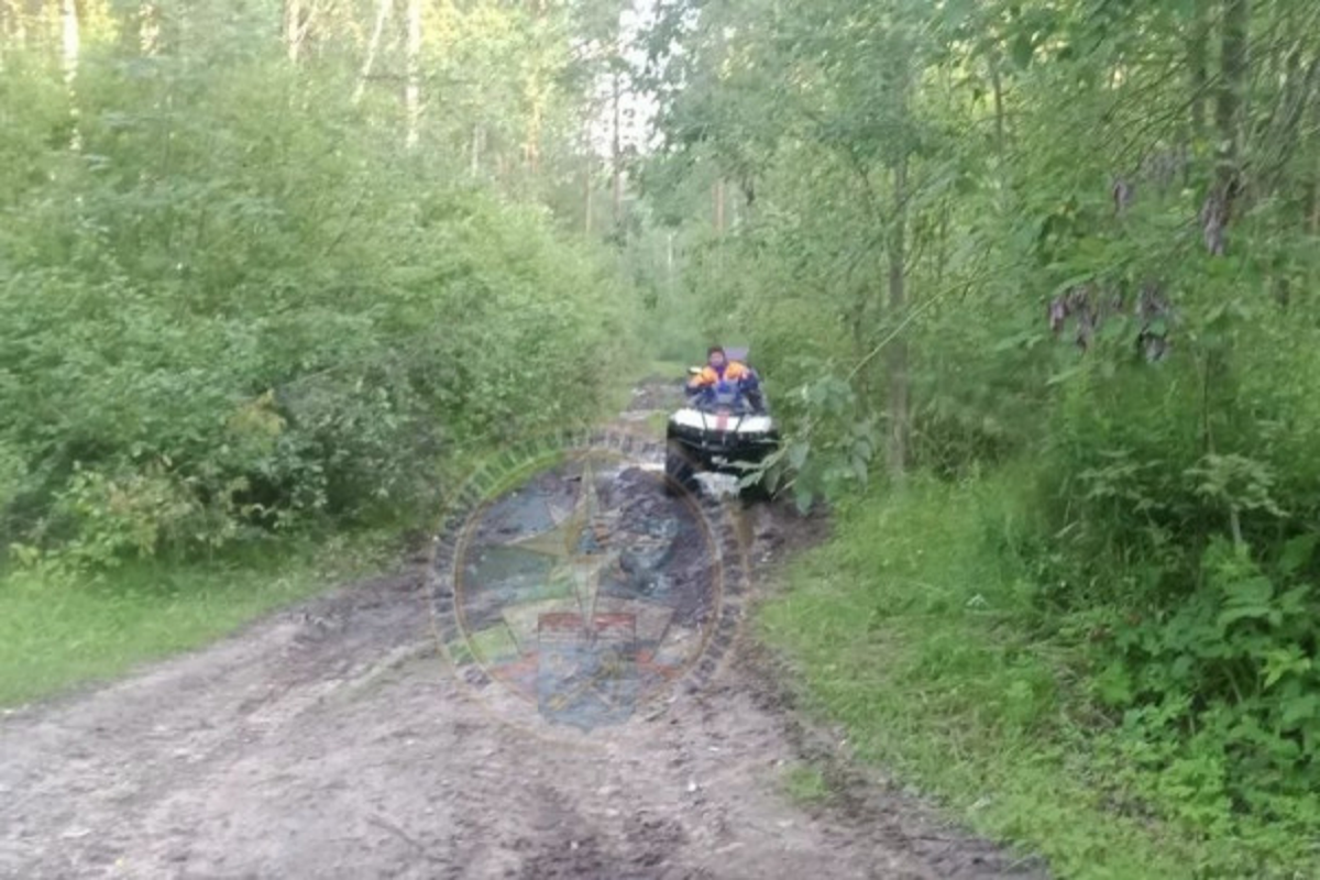 Спасатели помогли заблудившемуся в лесу под Всеволожском пенсионеру