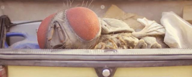 В Сети вышел трейлер фильма Квентина Дюпье «Жвалы»