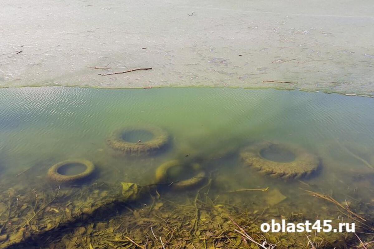 В Курганской области с помощью дронов следят за водоохранными зонами и выявляют нарушения