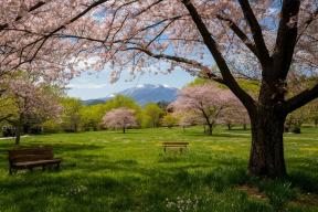 От +10 до +15: синоптики спорят о погоде на майские, но сходятся в главном