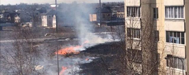 В Твери из-за поджога сухой травы едва не сгорел целый микрорайон