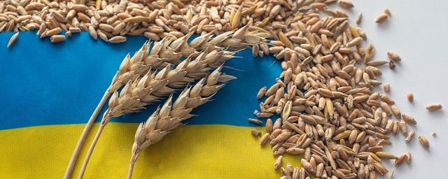 Polskie Radio 24: ЕК готовится запретить импорт зерна с Украины