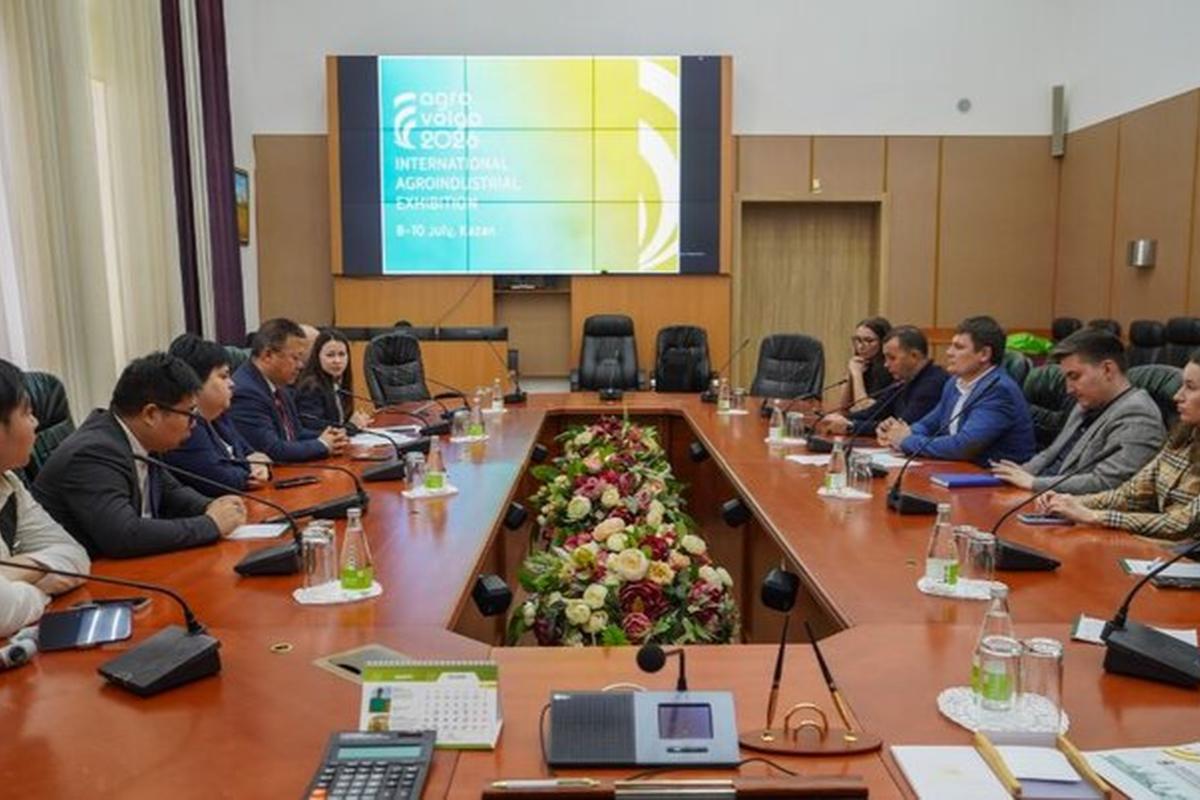 Мороженое и соя: Татарстан накормит Китай семенами льна и сладостями в обмен на инвестиции