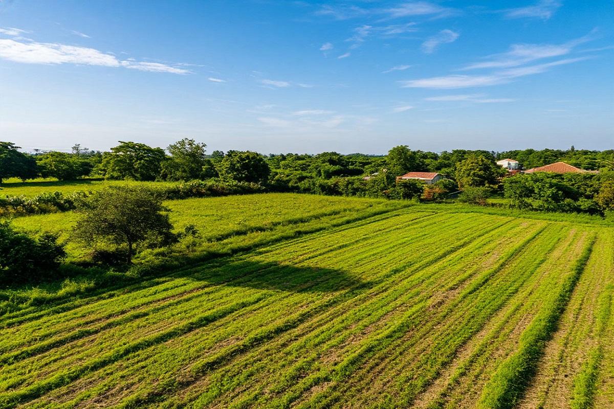 В Ленобласти втрое быстрее продвигается очередь на льготные земельные участки