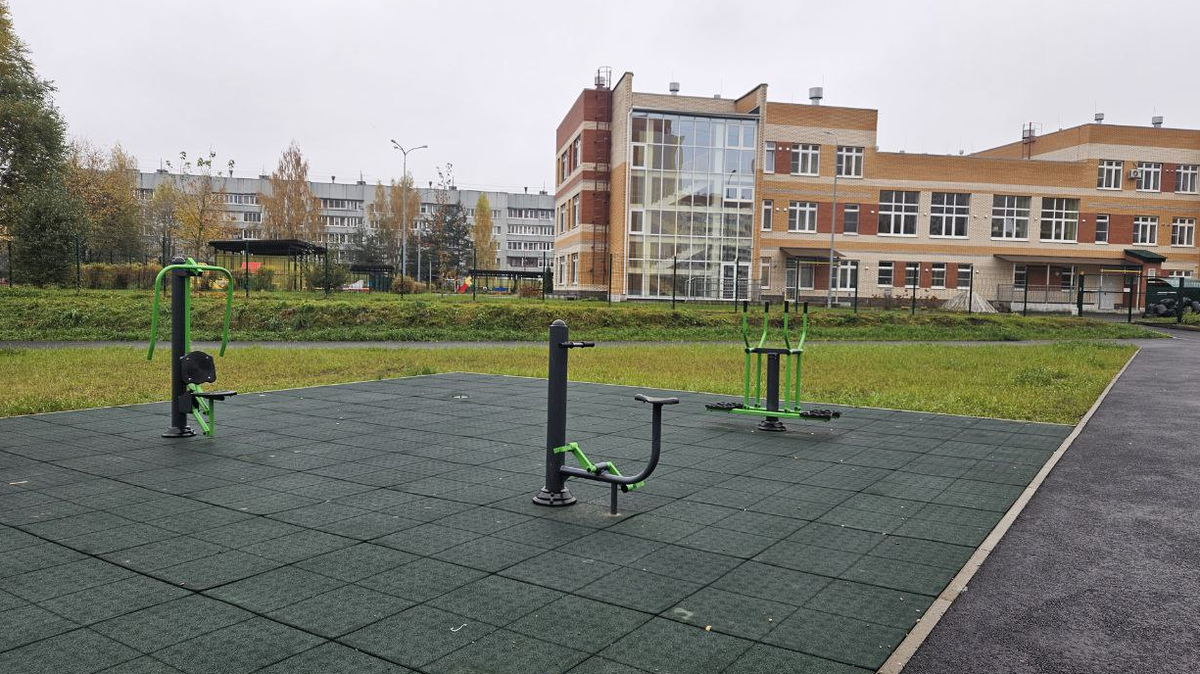 Глава региона Ведерников потребовал обновить покрытие новой детской площадки в Запсковье