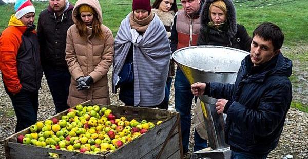 В Краснодарском крае открыли ферму сидра