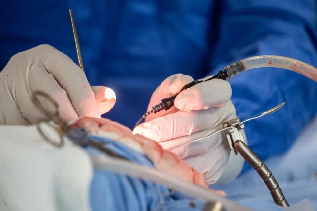 Онколог Черемушкин: рак — это всегда про риск рецидива