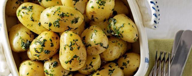 U.S. scientists reveal potato's benefit in fighting excess weight