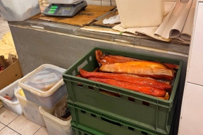 На Приамурском подпольном производстве изъяли тонну рыбы и икры неизвестного происхождения