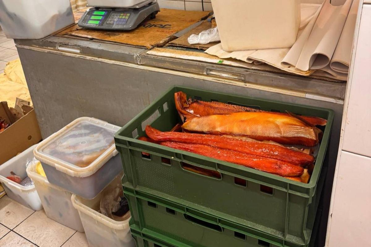 На Приамурском подпольном производстве изъяли тонну рыбы и икры неизвестного происхождения