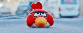 На брянскую сеть «Журавли» был подан иск от создателей Angry Birds