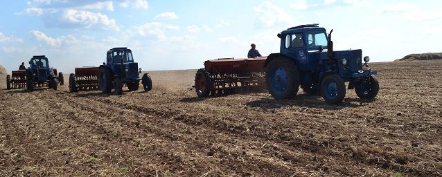 В Зауралье зерновыми культурами планируют засеять более 1 млн гектаров