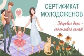 Молодожены в Пензенской области могут бесплатно проверить репродуктивное здоровье
