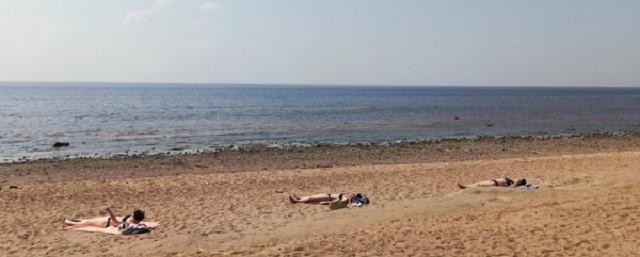 Летом этого года в Ленинградской области откроют 44 пляжа