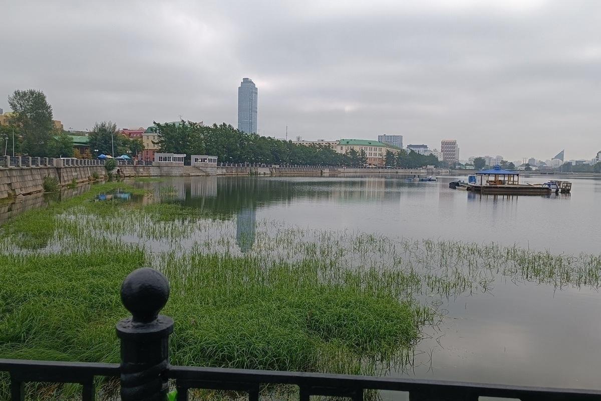 Одна из рек Екатеринбурга страдает от экстремального загрязнения