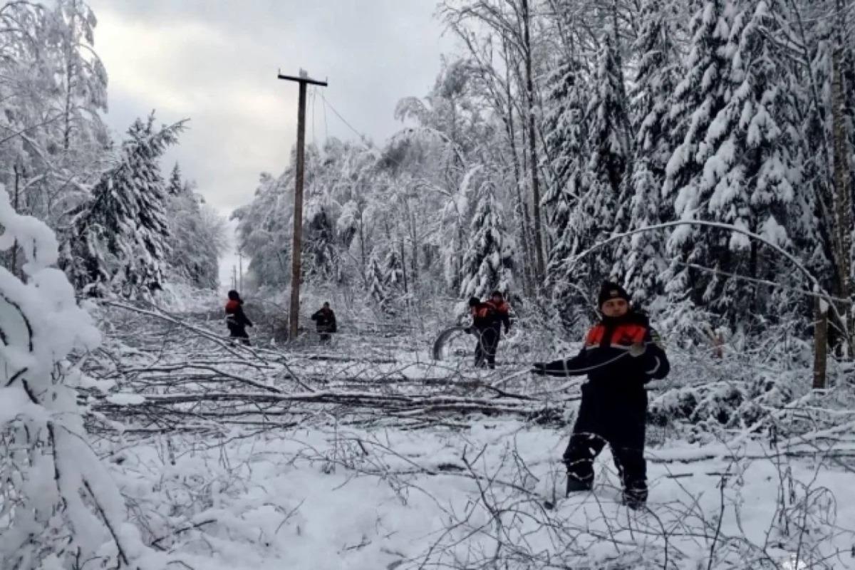 Тысячам людей в Тверской области больше недели не могут вернуть электричество