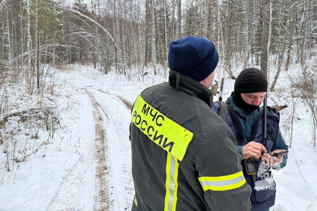 Спасатель раскрыл возможные причины интереса полиции к делу Усольцевых