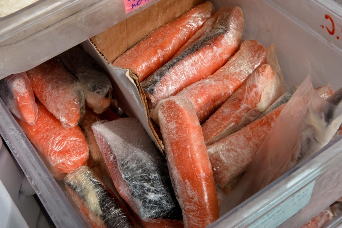 Экономист Чеглов рассказал, как изменится цена на рыбу в преддверии Нового года