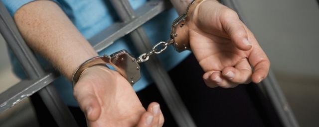 В Воронеже задержан обвиняемый в убийстве местной учительницы